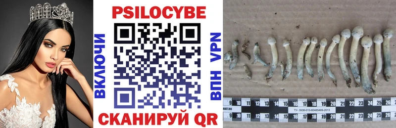 Купить где  Усть-Джегута  Псилоцибиновые грибы ЛСД 